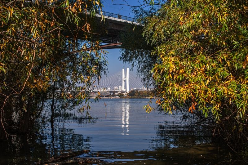 Осень фото превью