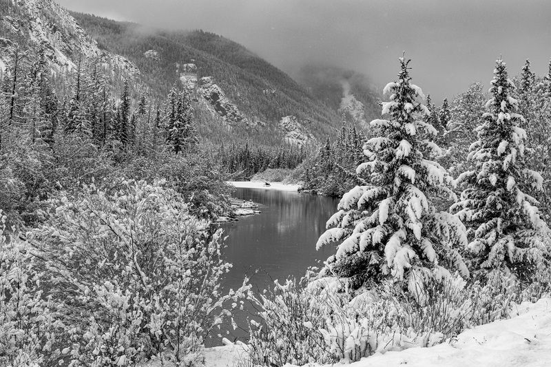 графика Графика_осени_поздней фото превью