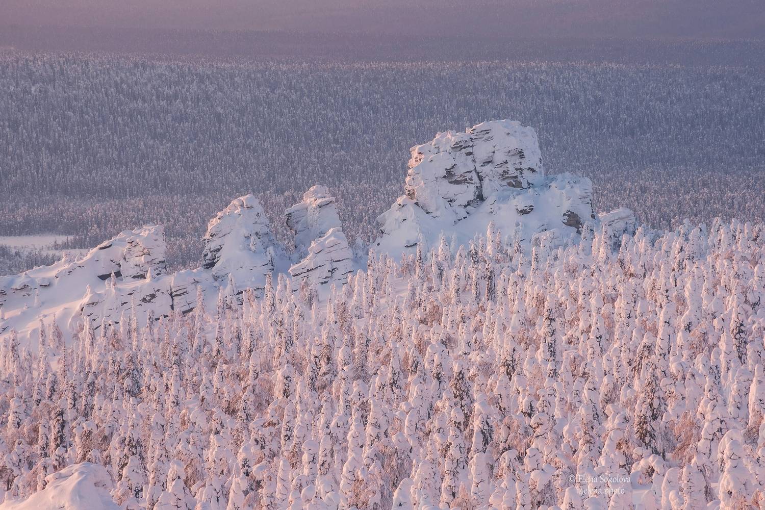 , Елена Соколова