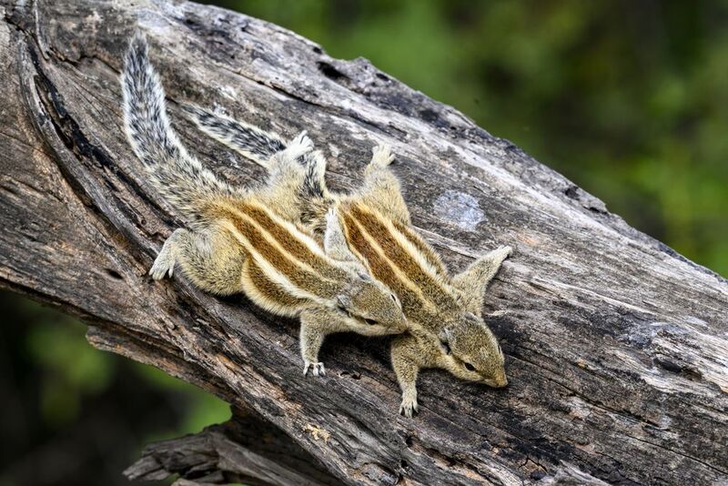 Солнечные ванныphoto preview