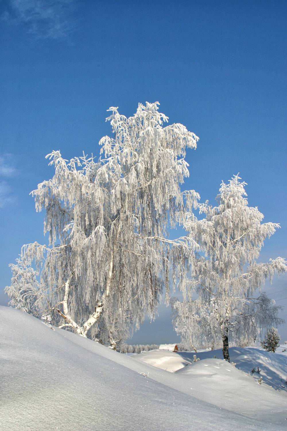 , Ушаков Валерий
