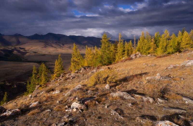 алтай горы лес  пейзаж красивый тучи свет Свет и теньphoto preview