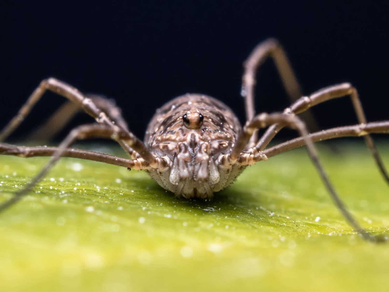 Автор: Миша Усольцев , Миша Усольцев