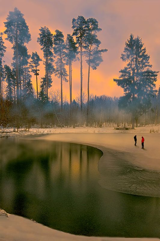 Лесное озероphoto preview