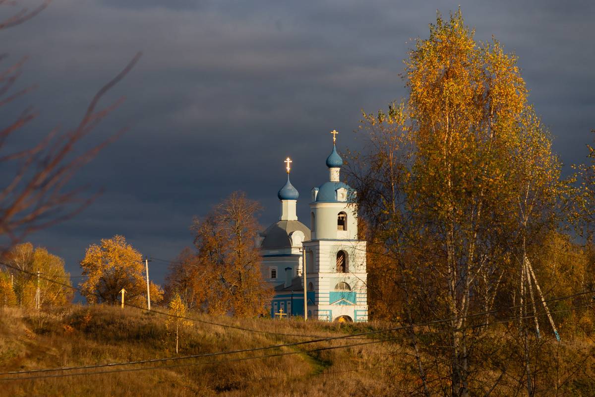 богородицерождественский храм, коломна, Колеснева Елена