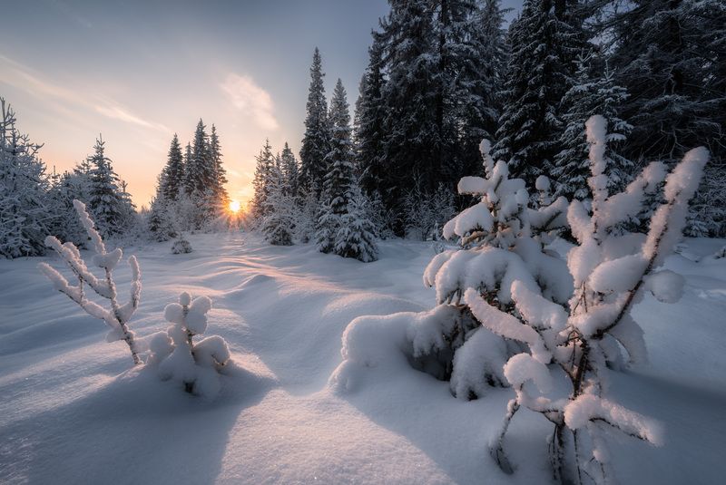 В лучах морозной свежестиphoto preview