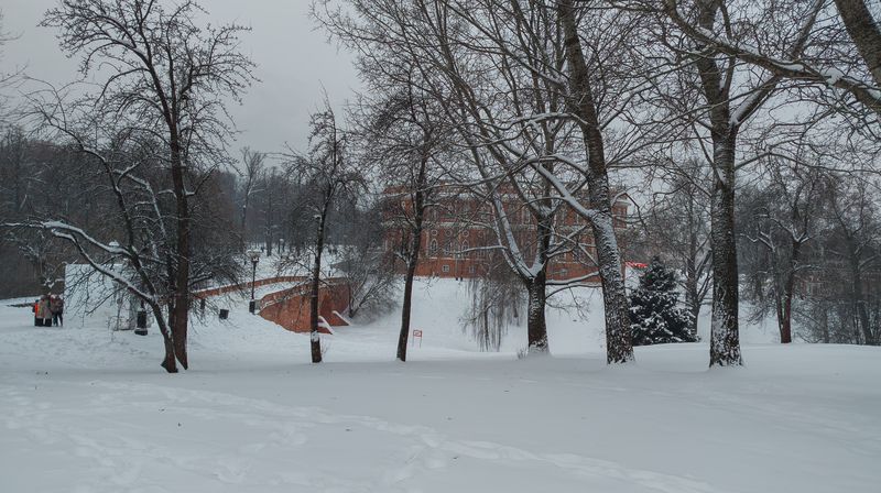 Зима в Царицыно.photo preview