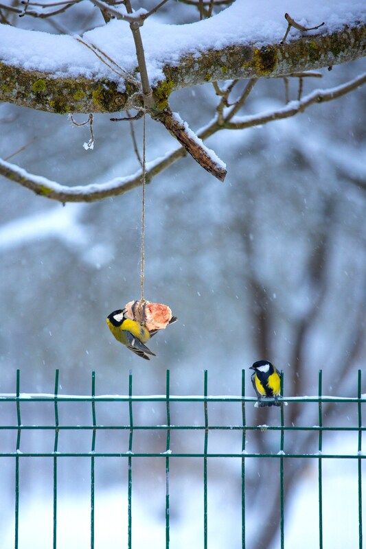 В очередиphoto preview