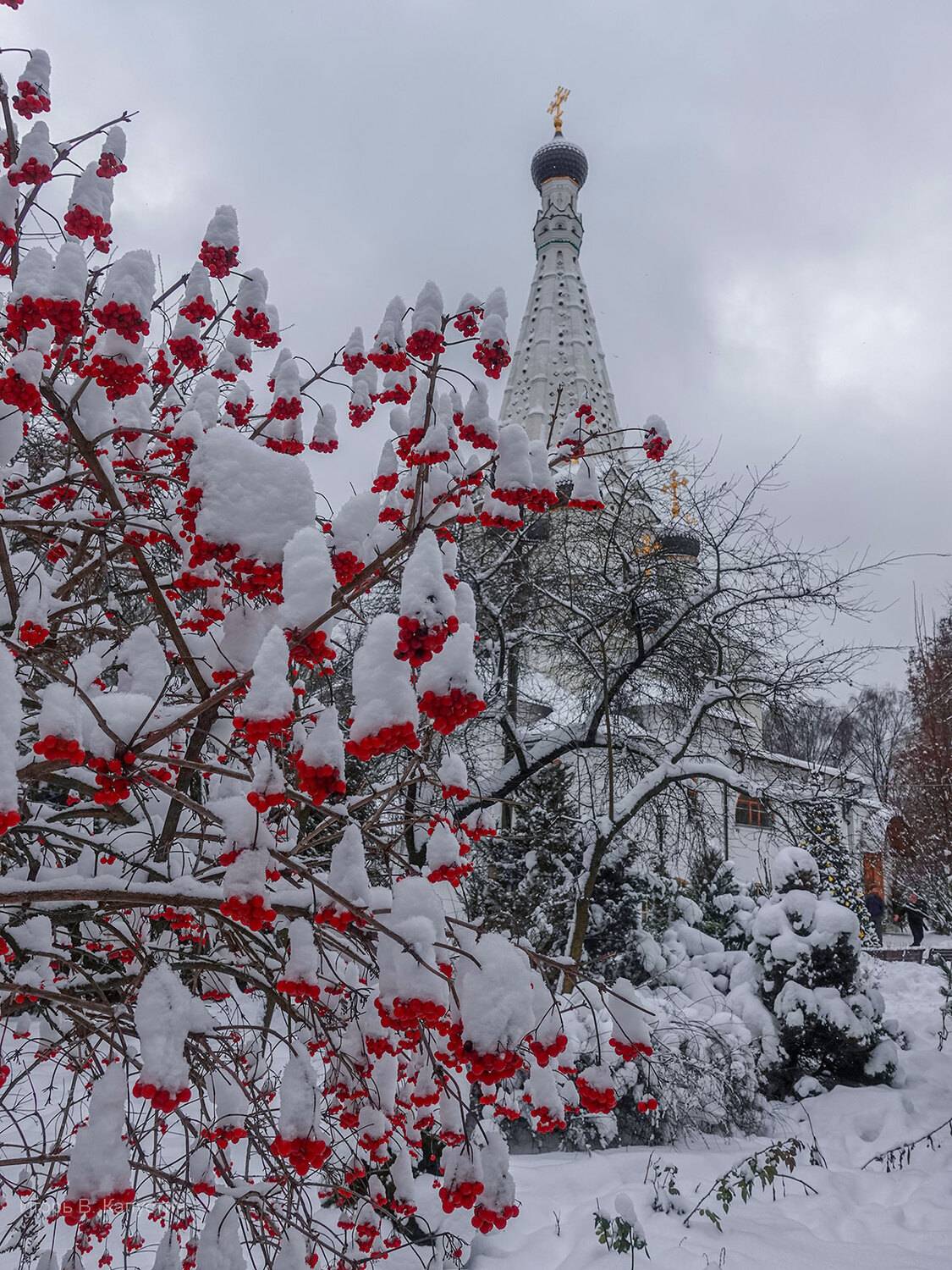 , Капустин Игорь