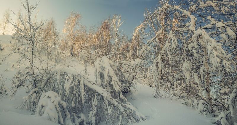 Жила зима в избушке...photo preview