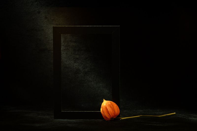 Этюд с физалисом IIphoto preview