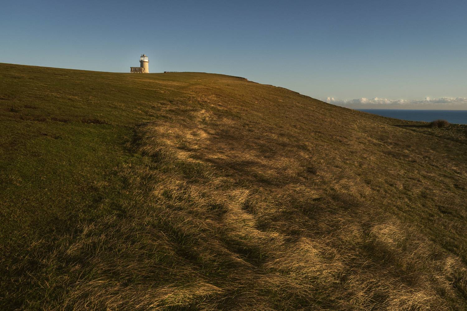 , Дьяченко Алёна