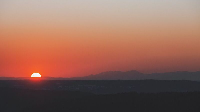 Первая - пробнаяphoto preview