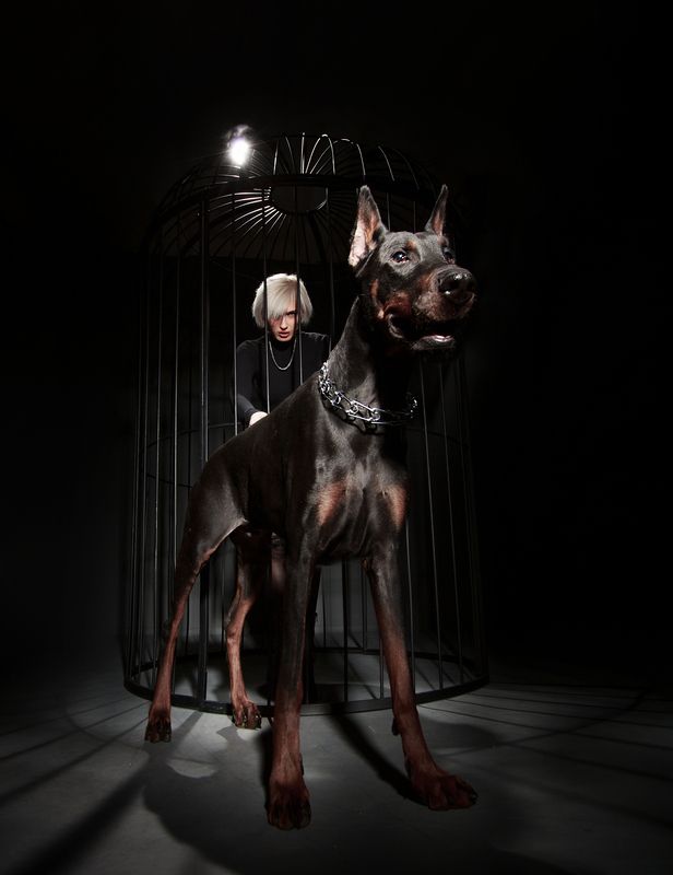 Dark shinesphoto preview