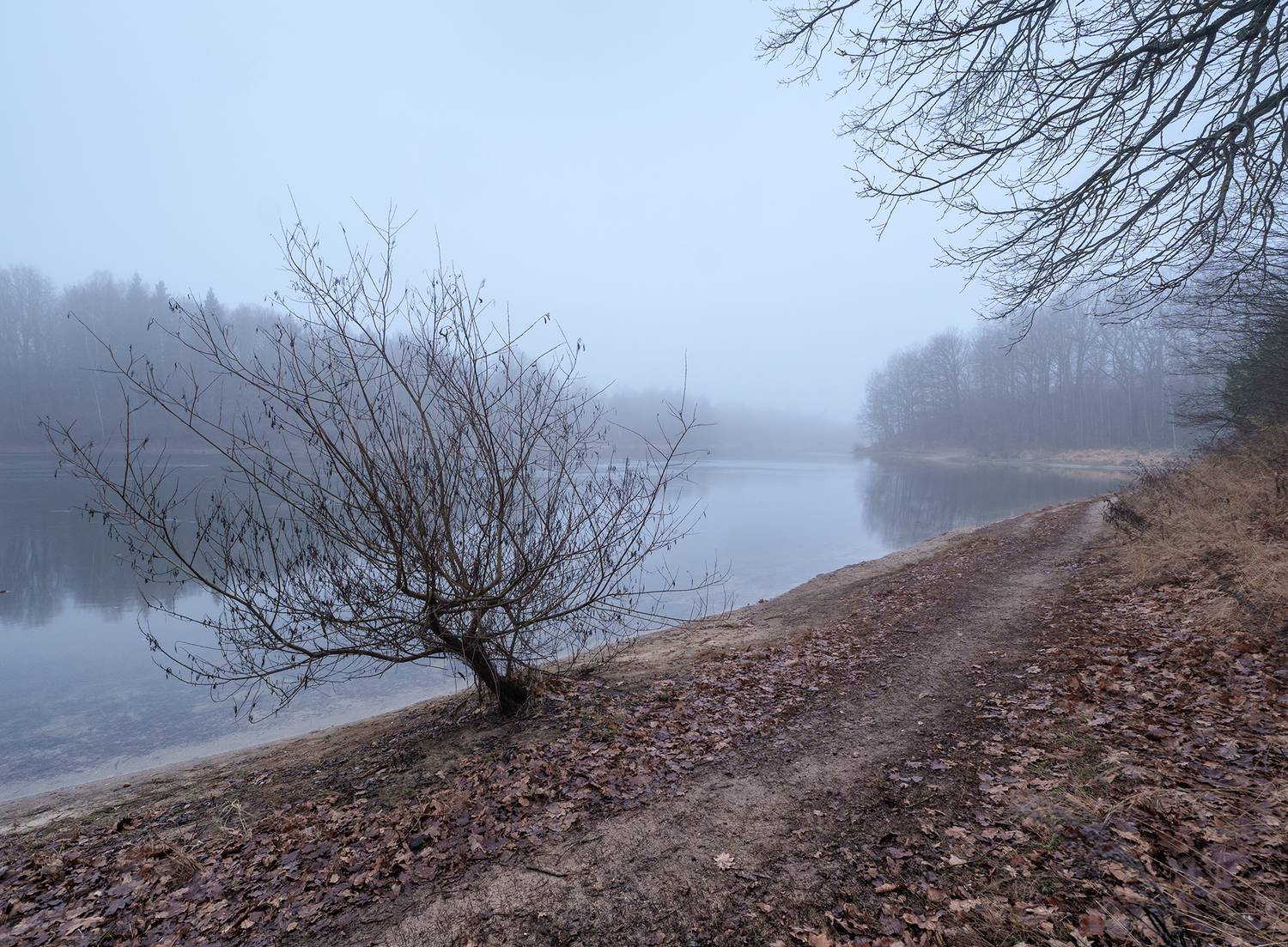 Автор: Андреев Николай , Андреев Николай