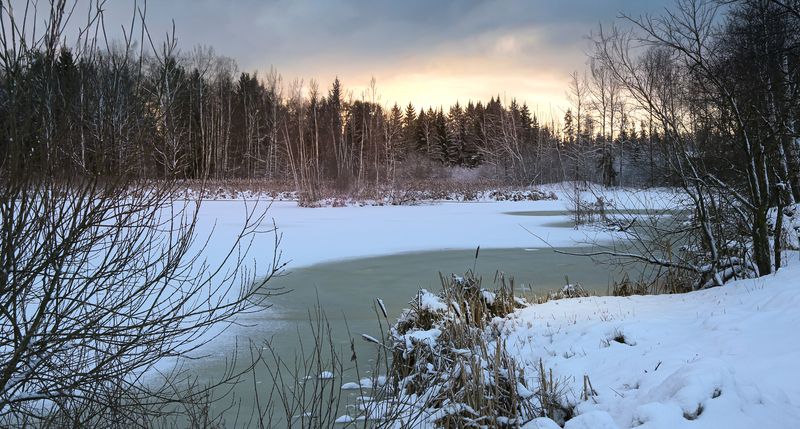 Московская обл пришла зима...photo preview
