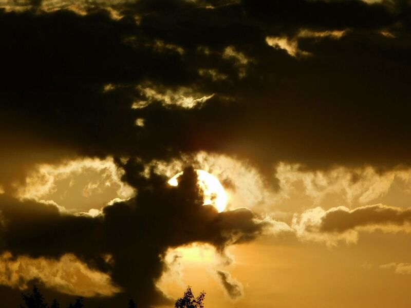 Драконphoto preview