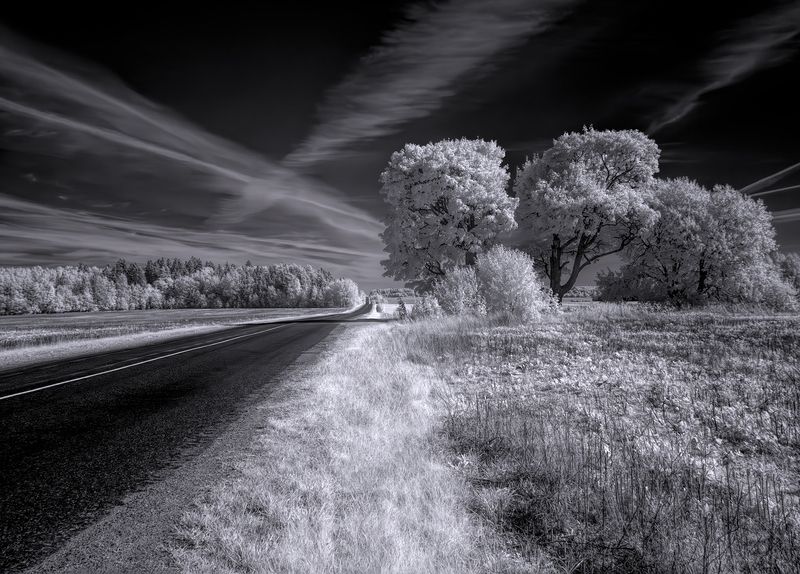 infrared, ик-фото, инфракрасное фото, инфракрасная фотография, пейзаж, осень Обочинаphoto preview