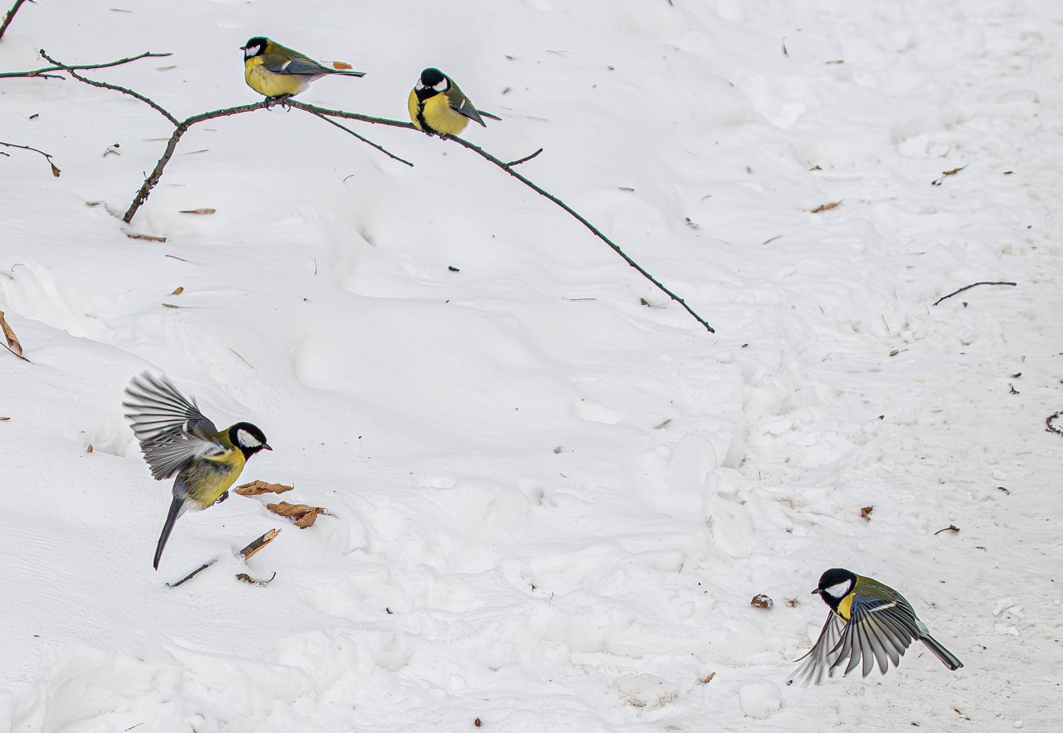 , Михаил Измайлов