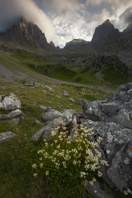 photo, photography, picture, land, landscape, nature, spring, river, color, mood , colorful Spring Songphoto preview