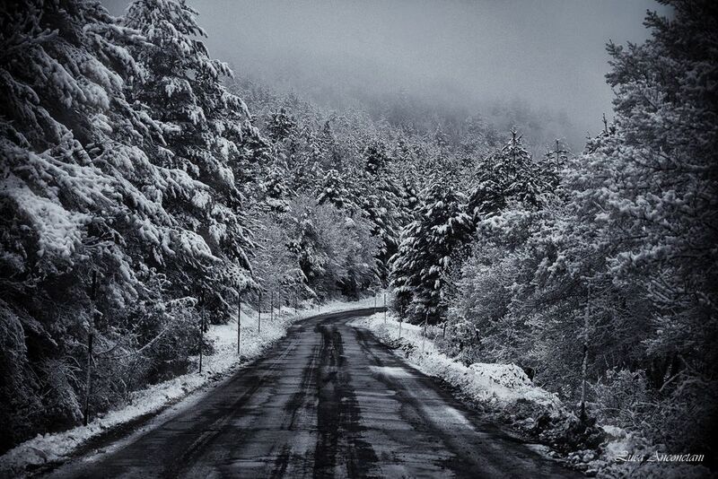 sibillini nat park italy nature landscape snow winter cold road trees Road to Sibilliniphoto preview
