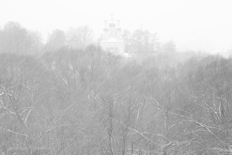 Метельphoto preview