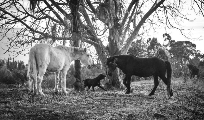 Последнее предупреждение...photo preview