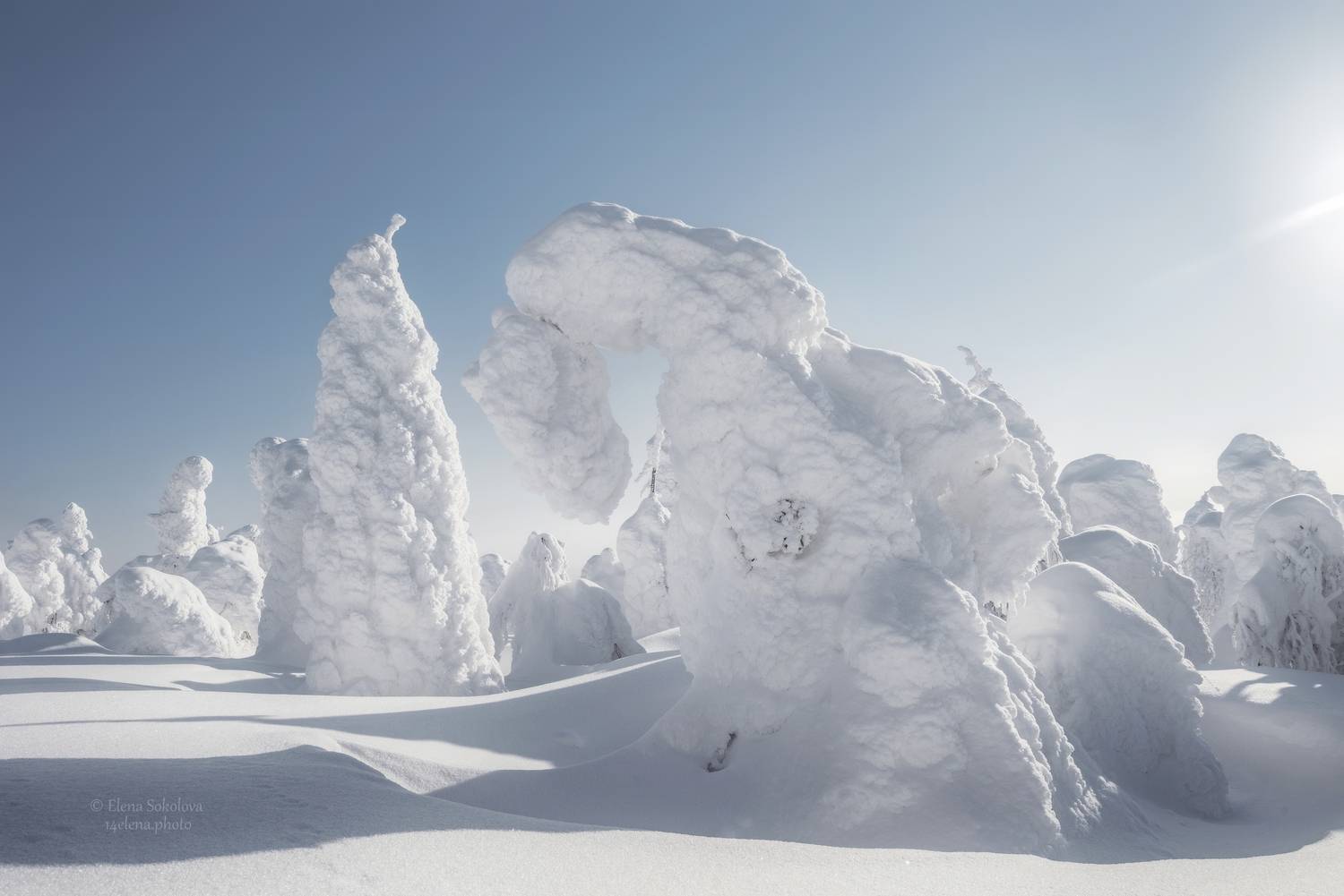 зима, Елена Соколова