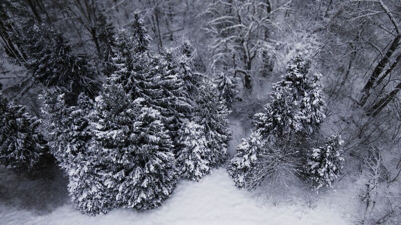 Московская область, Красногорский район, Лохин остров, зима,  Московская зимушка-зимаphoto preview