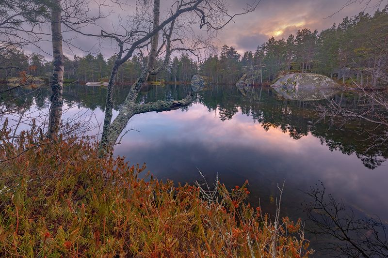 зима, штиль, ладожские шхеры, карелия, ладога, северное приладожье, сортавала, питкяранта, русский север, северная природа, северный пейзаж, пейзажи карелии, фототуры по карелии, фототуры по ладоге, фототур на ладожские шхеры Затянувшееся предзимьеphoto preview