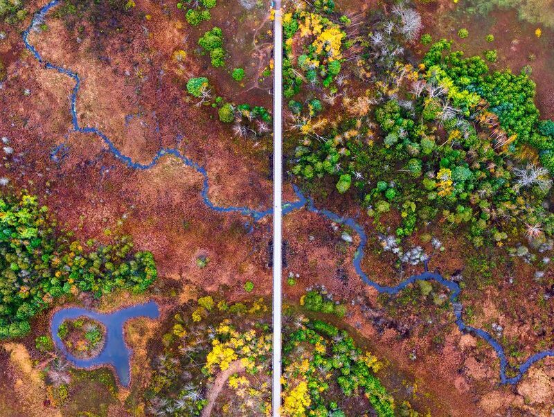 aerial, photography, birdseyeview, aerial, drone, bridge, split, divide, connection, middle, road, wetlands, wild, canada, canadian, north, pedestrian, straight, elevated, colour, autumn, trees, winding, twisty, contrast, centred, vibrant, marko, radovano CONNECTED DIVIDEphoto preview