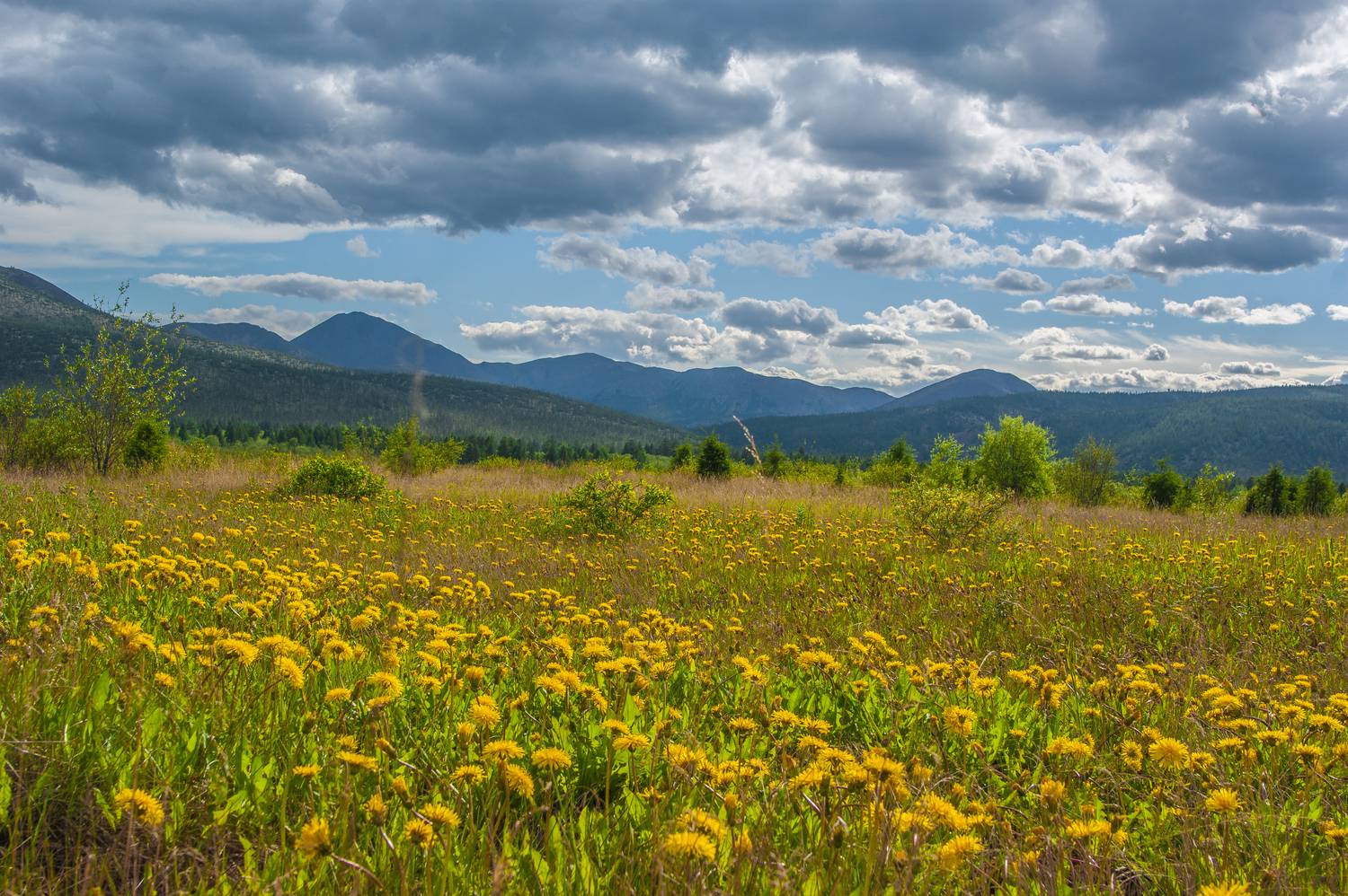 , Андрей Загребельный