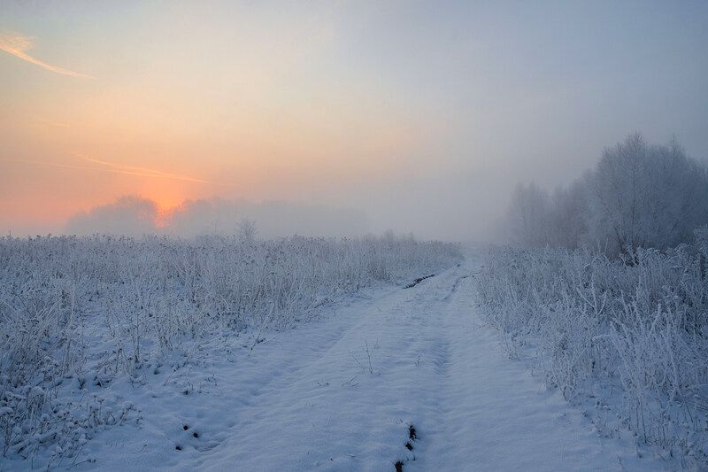 поле снег дорога рассвет природа пейзаж Рассвет в поле.photo preview