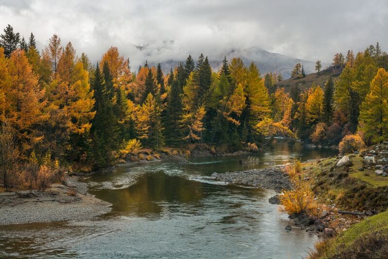 россия, горный алтай, река,  осень, утро Утром после дождяphoto preview