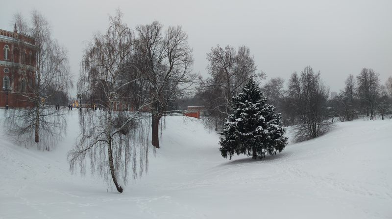 Зима в Царицыно.photo preview