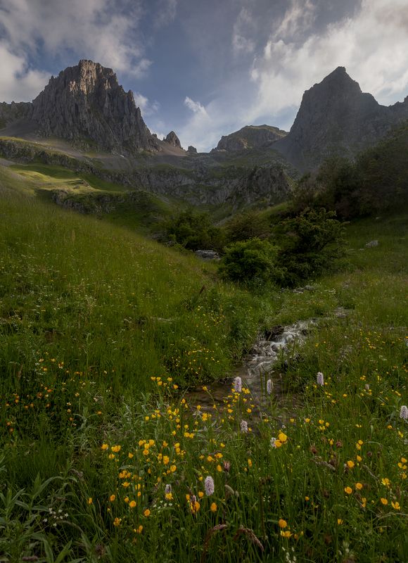 photo, photography, picture, land, landscape, nature, spring, river, color, mood , colorful, green, river, flow, flowing, forest, mountains Spring essencephoto preview