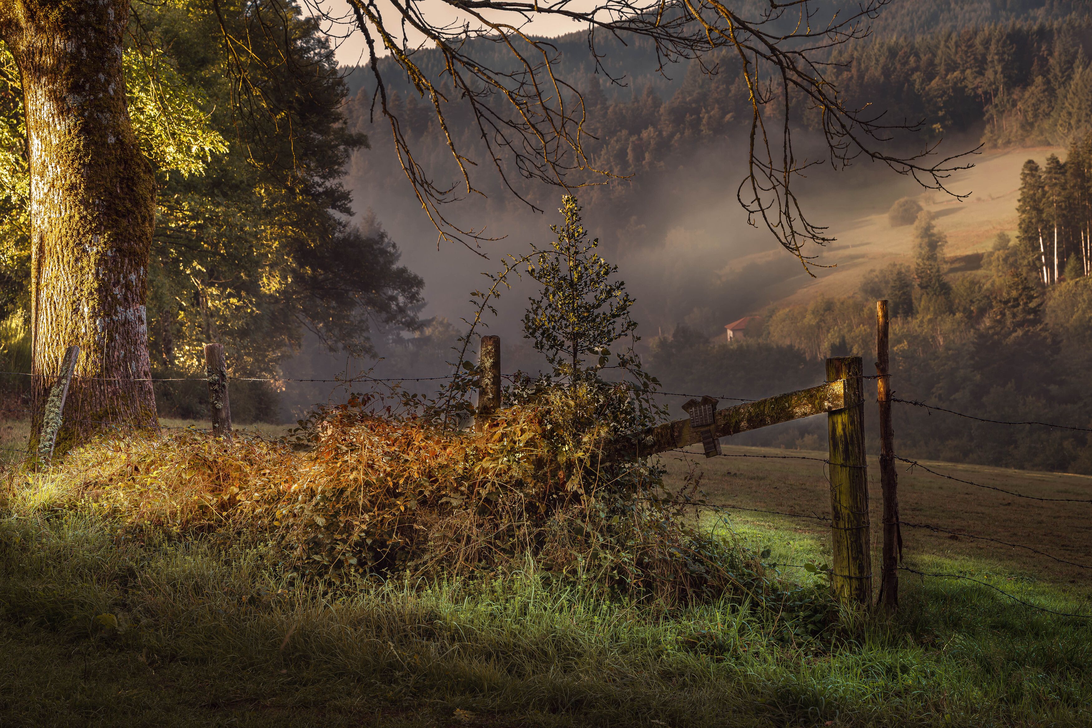 Pres de Lyon!photo preview