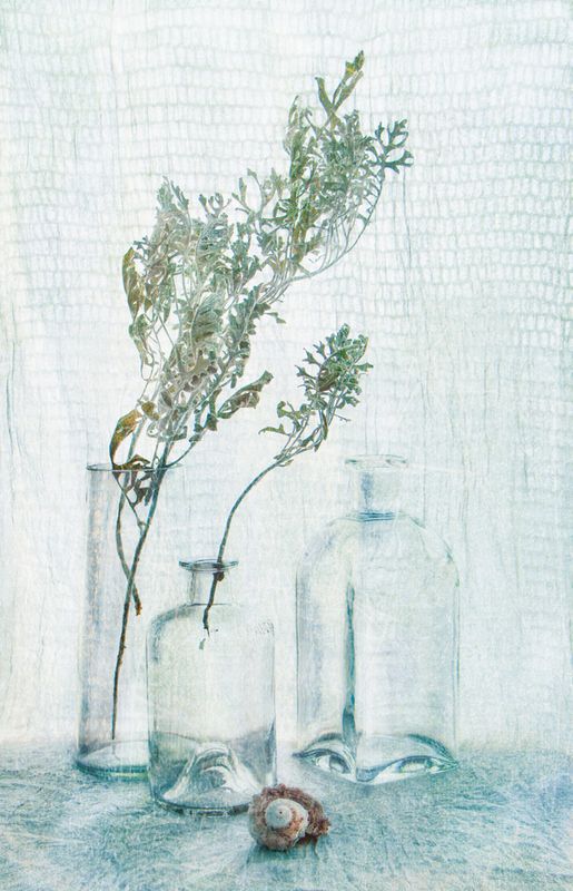 натюрморт раковина стекло сухоцвет букет  Изморозьphoto preview