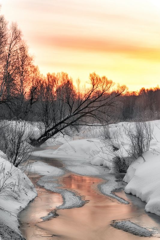 Морозный рассветphoto preview