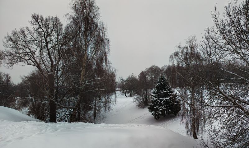 Зима в Царицыно.photo preview