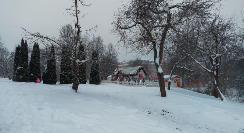 Зима в Царицыно.photo preview