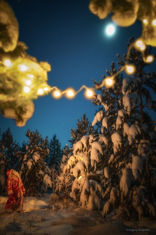 Новогодняя ночьphoto preview