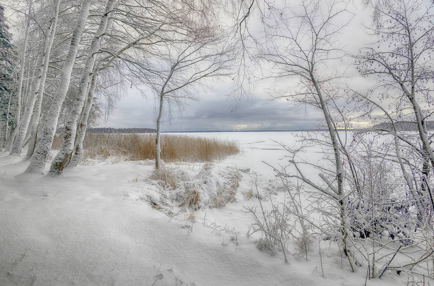 , Сергей Аникин