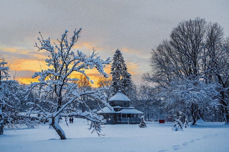 василево, музей, закат, зимнийпейзаж Василево, Тверская областьphoto preview