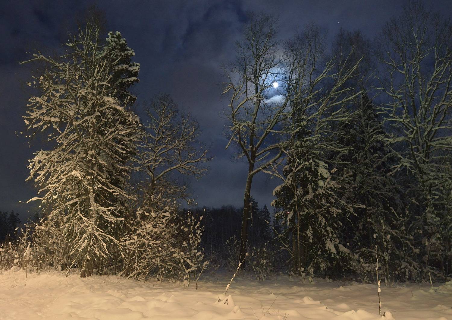 Вечерний пейзаж с луной. Автор: Сергей Седов , Сергей Седов