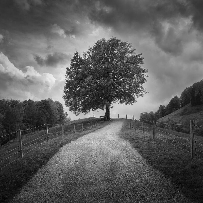 Beneath Black Skiesphoto preview