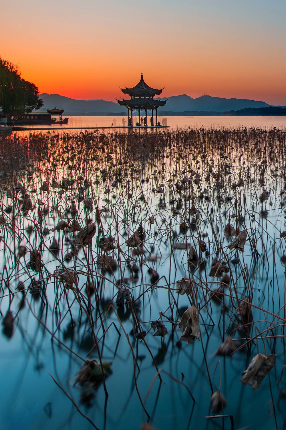 Автор: Derek Zhang , Derek Zhang