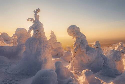 Золотой рассвет