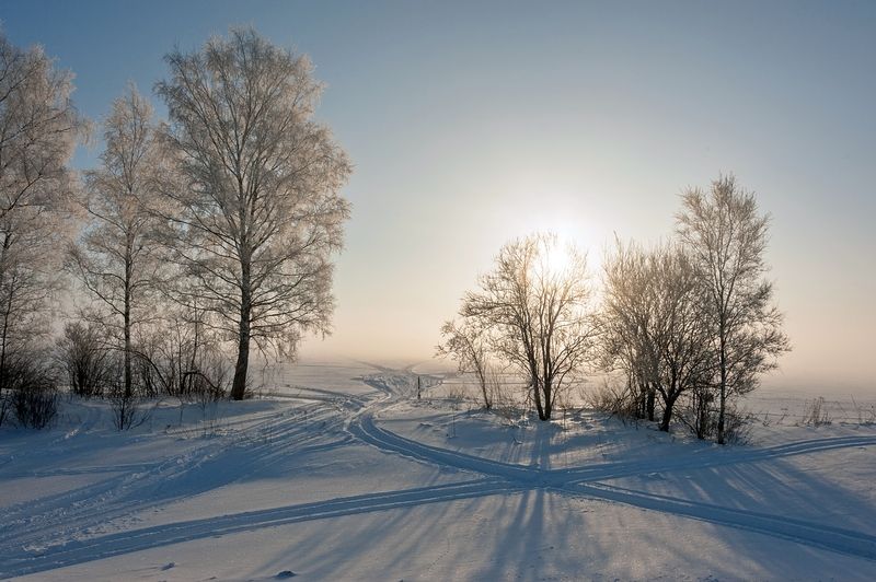 Зимним утромphoto preview