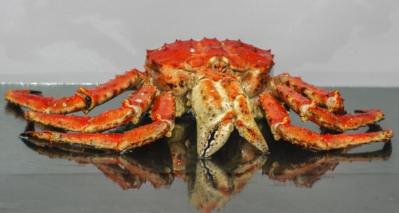 Камчатский крабphoto preview